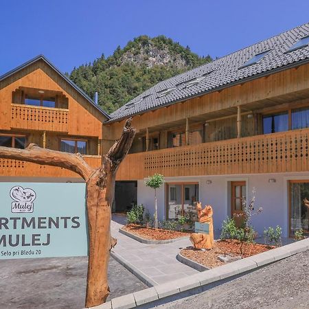 Apartments Mulej 布莱德 外观 照片