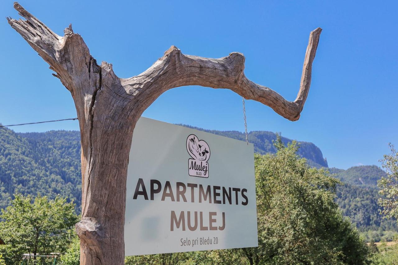 Apartments Mulej 布莱德 外观 照片