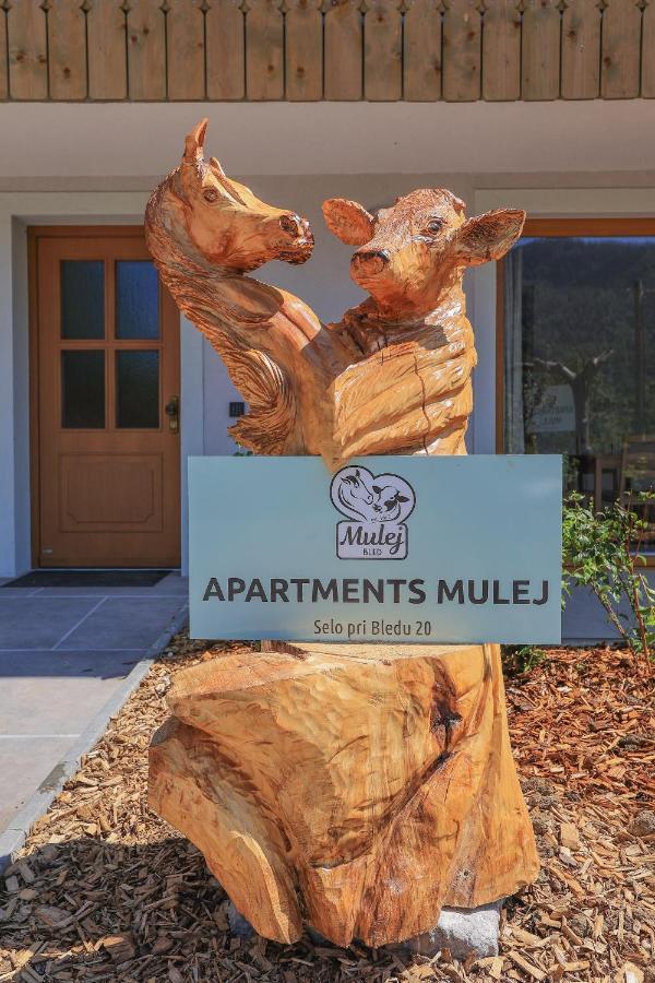 Apartments Mulej 布莱德 外观 照片