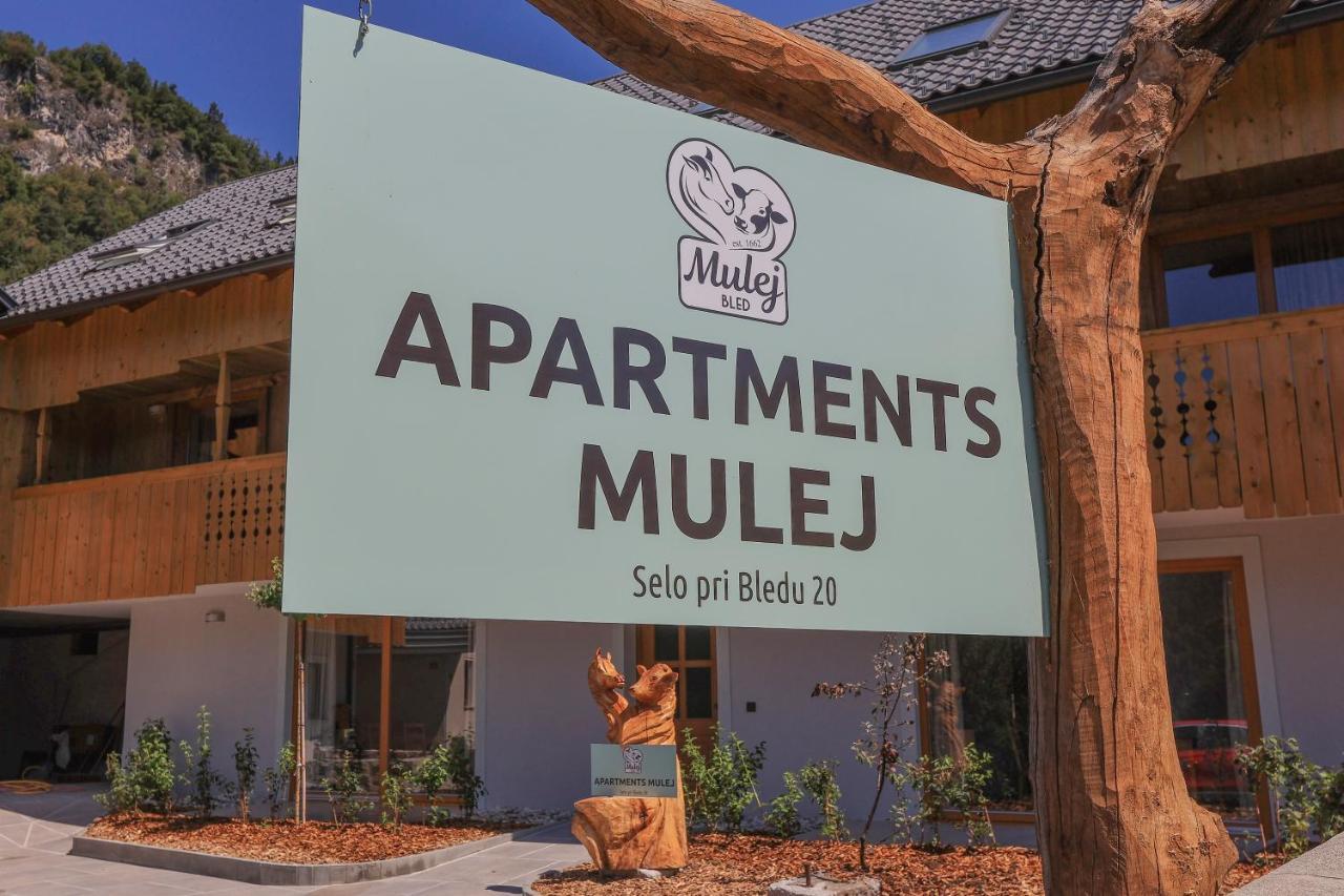 Apartments Mulej 布莱德 外观 照片